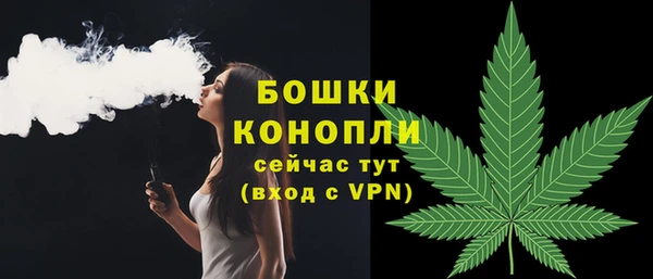 крисы Бугульма