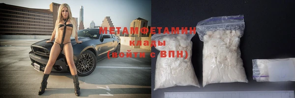 прущие грибы Бронницы
