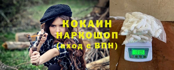 прущие грибы Бронницы