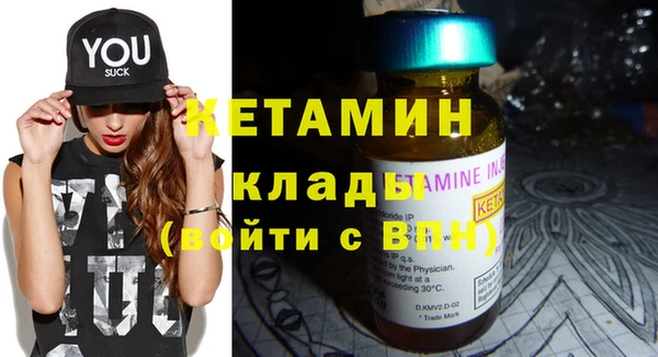 прущие грибы Бронницы