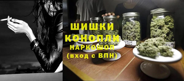 крисы Бугульма