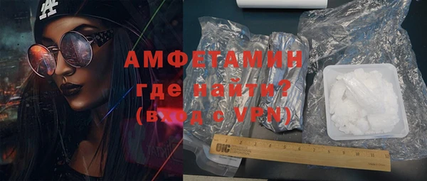 прущие грибы Бронницы