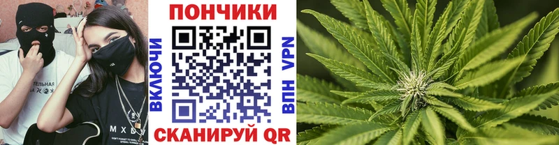 Шишки марихуана Bruce Banner купить закладку Городец